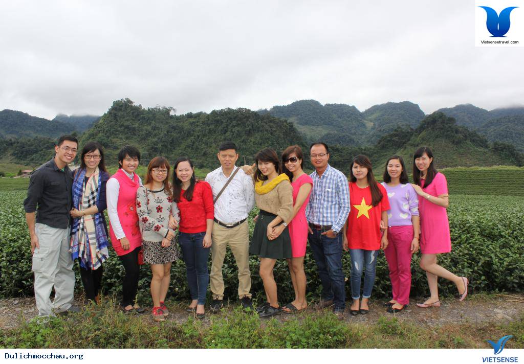 Cao Nguyên Mộc Châu Những Mùa Hoa - Ảnh 5