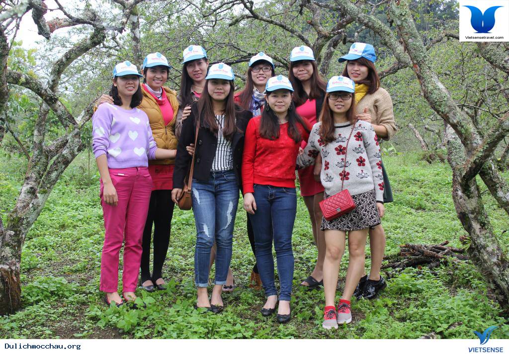 Cao Nguyên Mộc Châu Những Mùa Hoa - Ảnh 4