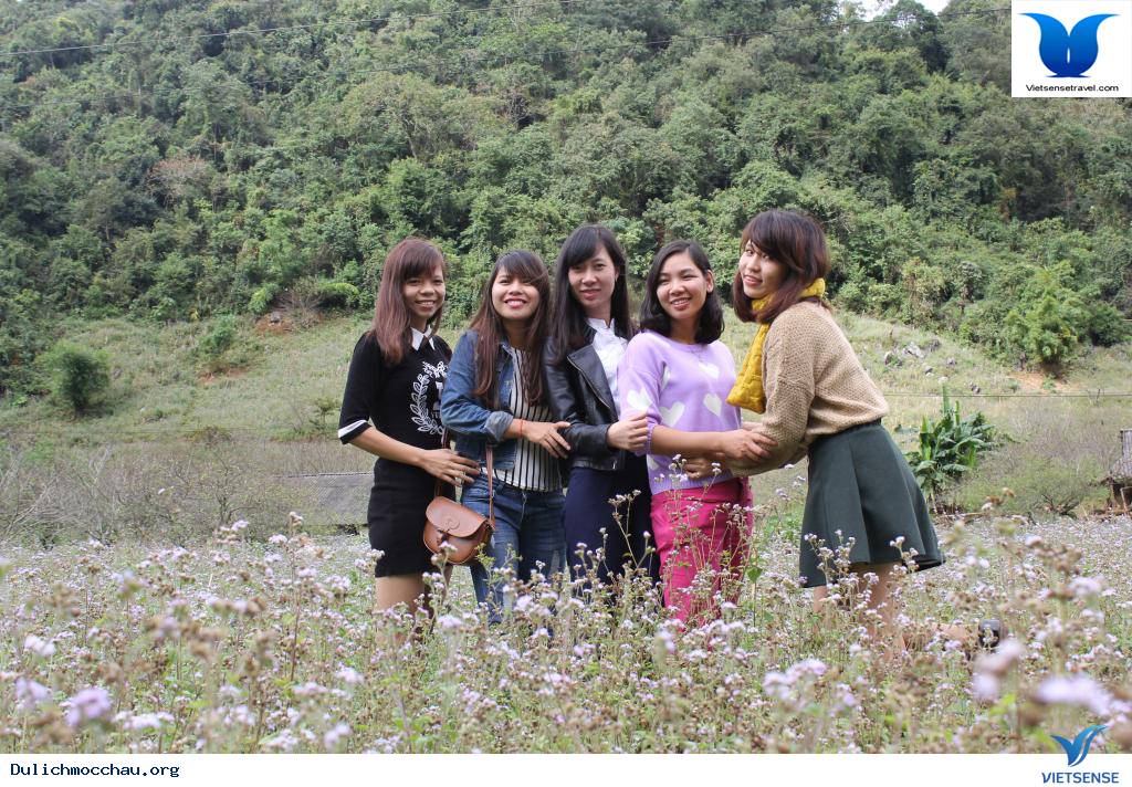 Cao Nguyên Mộc Châu Những Mùa Hoa - Ảnh 3