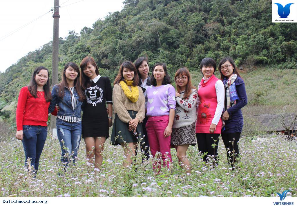 Cao Nguyên Mộc Châu Những Mùa Hoa - Ảnh 7