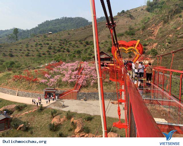 Cầu kính Mộc Châu, cầu tình yêu – địa điểm thăm quan mới cực hot - Ảnh 3
