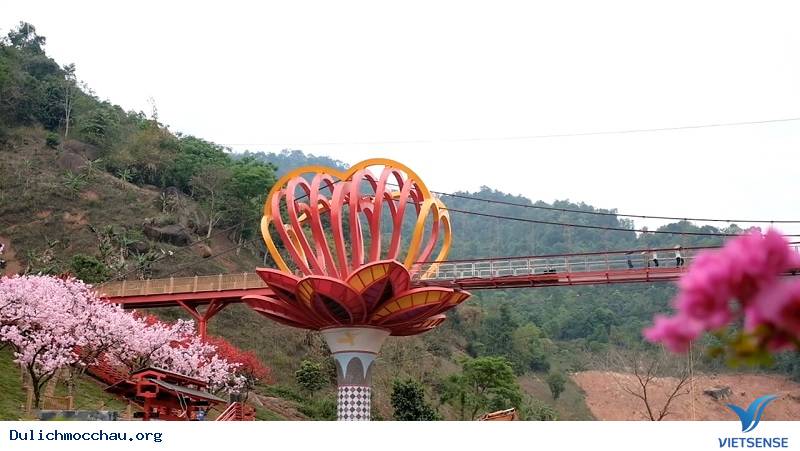 Cầu kính Mộc Châu, cầu tình yêu – địa điểm thăm quan mới cực hot - Ảnh 4