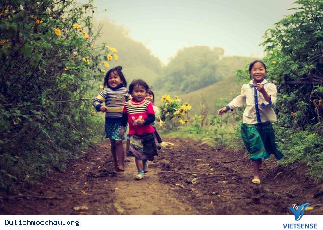 Chiêm Ngưỡng Thiên Đường Hoa Cải Nở Trắng Cao Nguyên Mộc Châu - Ảnh 9