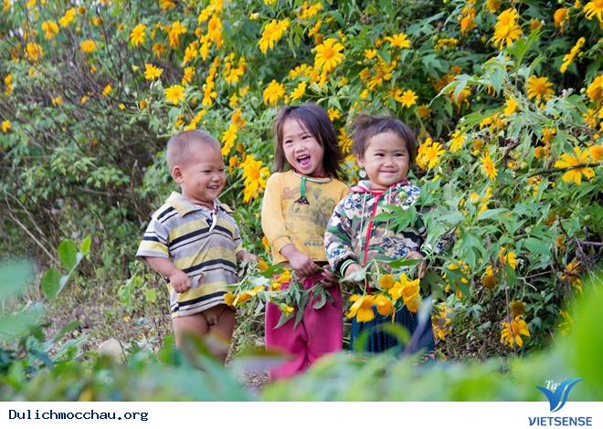 Chiêm Ngưỡng Thiên Đường Hoa Cải Nở Trắng Cao Nguyên Mộc Châu - Ảnh 8