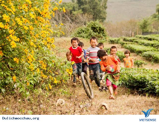 Chiêm Ngưỡng Thiên Đường Hoa Cải Nở Trắng Cao Nguyên Mộc Châu - Ảnh 7