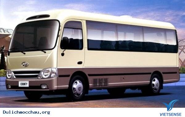 Xe Hyundai 29 chỗ