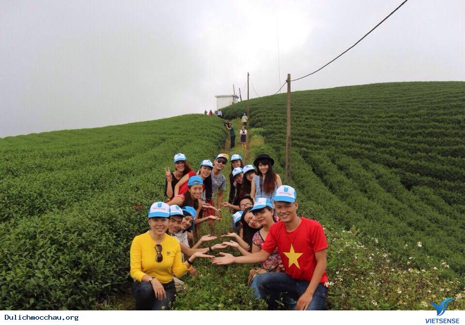Chùm Ảnh Du Xuân Mộc Châu Cùng VietsenseTravel - Ảnh 5 Chùm Ảnh Du Xuân Mộc Châu Cùng VietsenseTravel - Ảnh 5