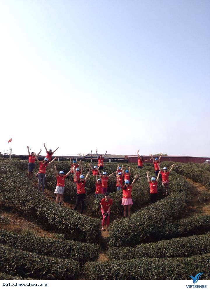 Chùm Ảnh Du Xuân Mộc Châu Cùng VietsenseTravel - Ảnh 4 Chùm Ảnh Du Xuân Mộc Châu Cùng VietsenseTravel - Ảnh 4