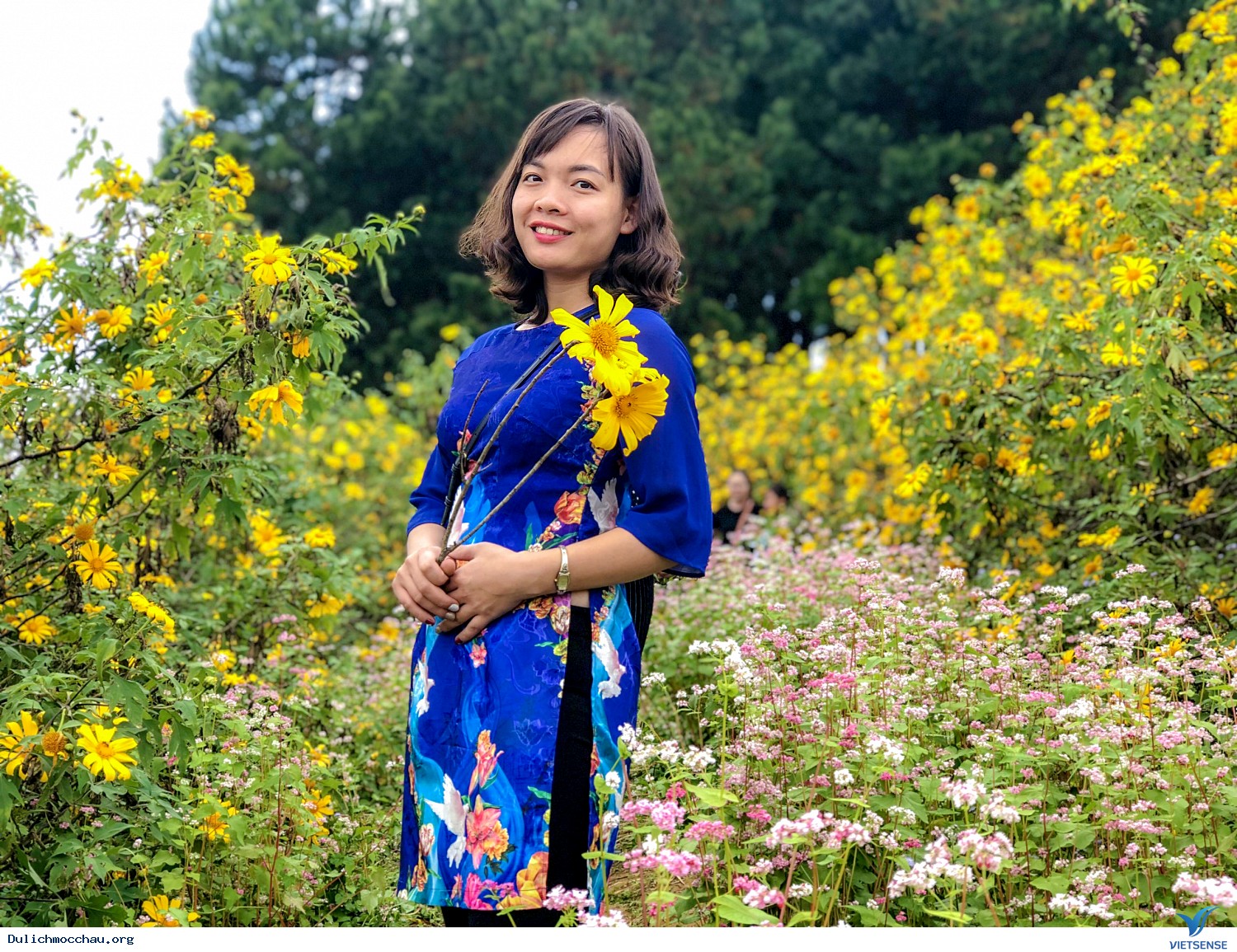 Đoàn khách thăm quan Mai Châu - Mộc Châu 23-24/11 - Ảnh 7 Đoàn khách thăm quan Mai Châu - Mộc Châu 23-24/11 - Ảnh 7