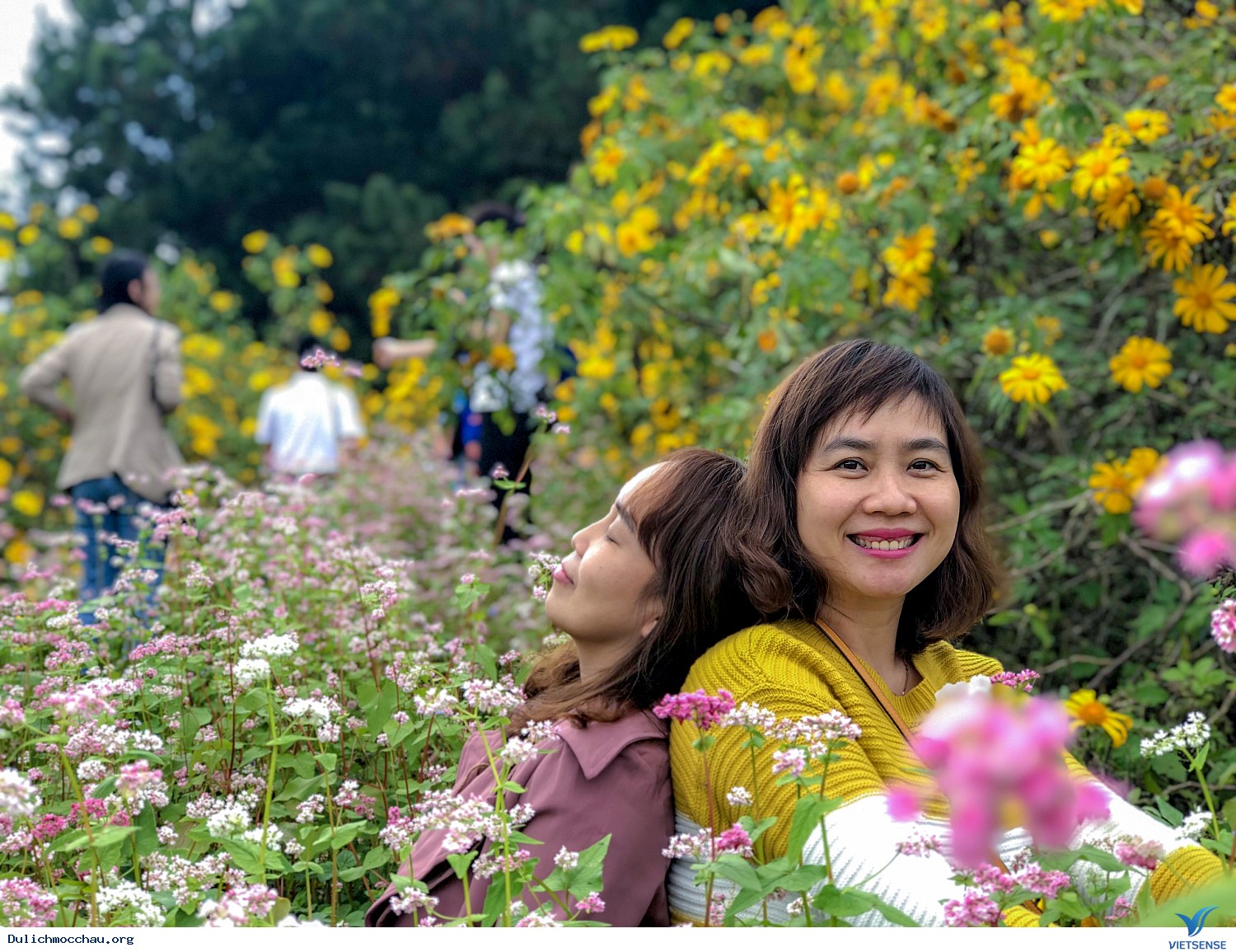 Đoàn khách thăm quan Mai Châu - Mộc Châu 23-24/11 - Ảnh 6 Đoàn khách thăm quan Mai Châu - Mộc Châu 23-24/11 - Ảnh 6