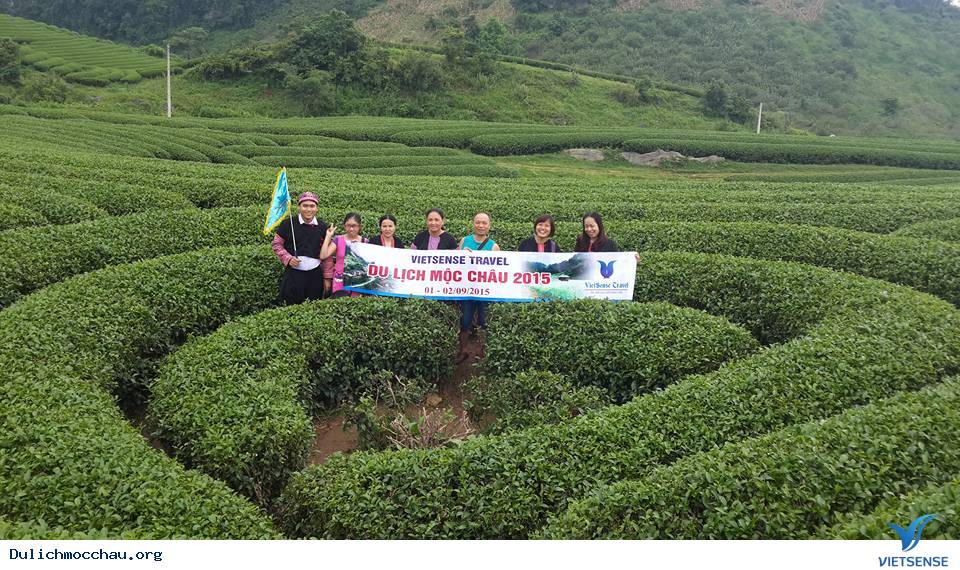 Đoàn Khách Ghép hành trình Mộc Châu Ngày 1-9-2015 - Ảnh 2 Đoàn Khách Ghép hành trình Mộc Châu Ngày 1-9-2015 - Ảnh 2