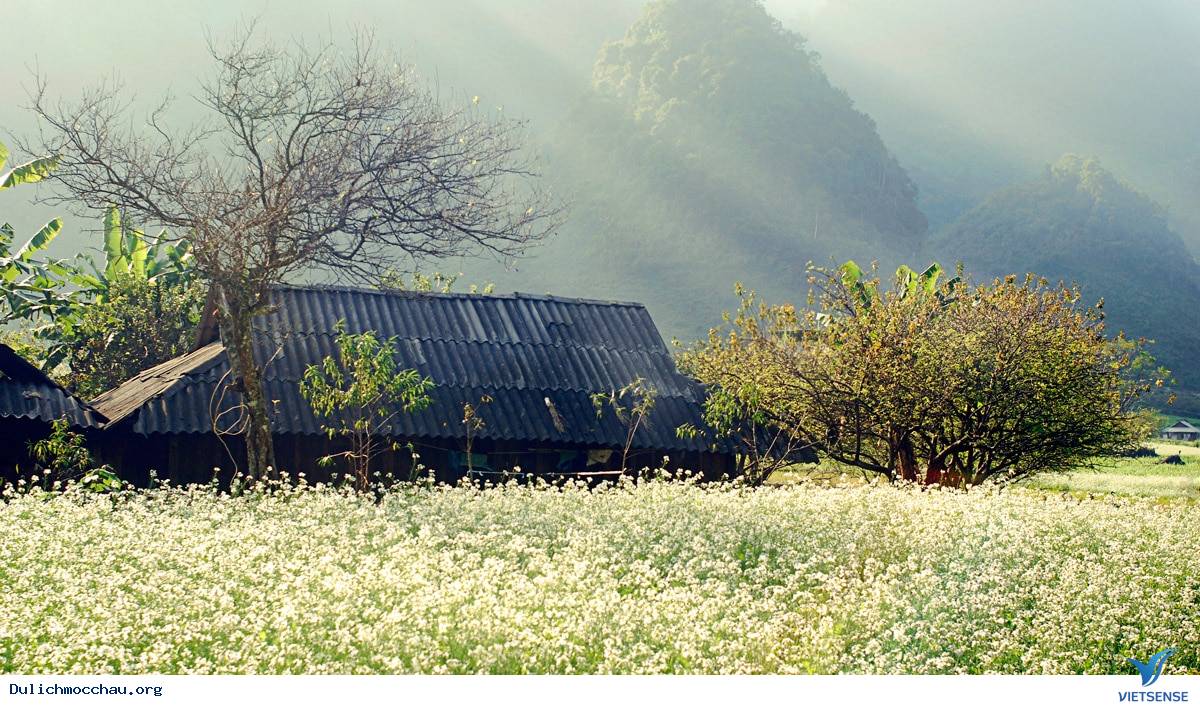 Đôi nét về Mộc Châu