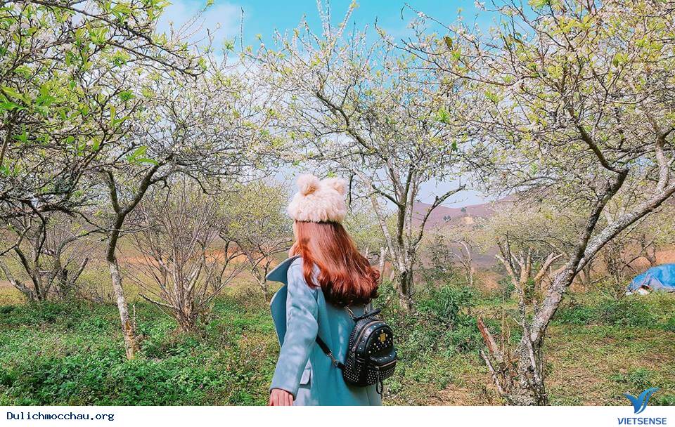 hành trình Mộc Châu bằng xe ga có được không? - Ảnh 1