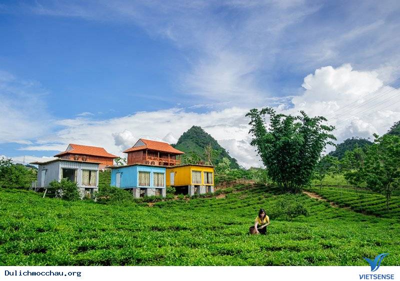 Mộc Châu Arena Village - Ảnh 1 Mộc Châu Arena Village - Ảnh 1
