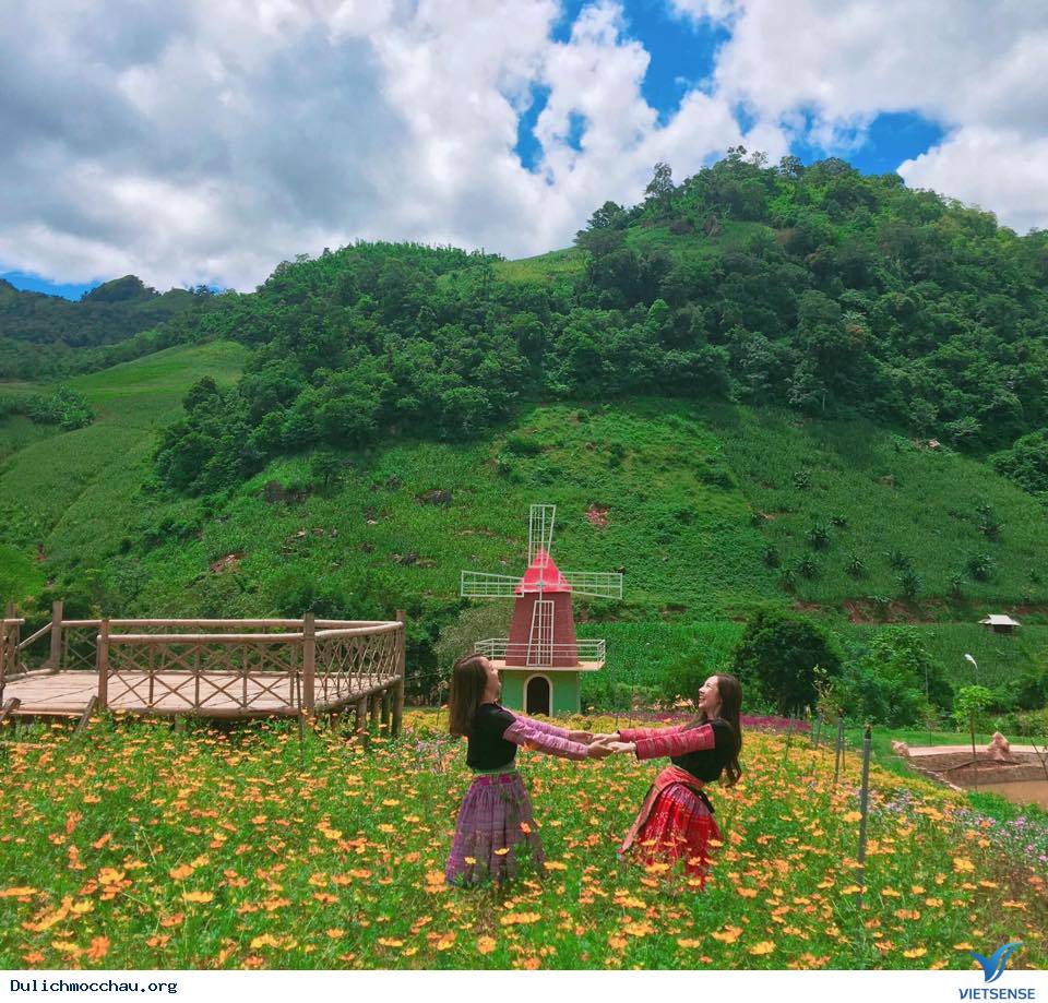 Mộc Châu Happy Land - Ảnh 8 Mộc Châu Happy Land - Ảnh 8