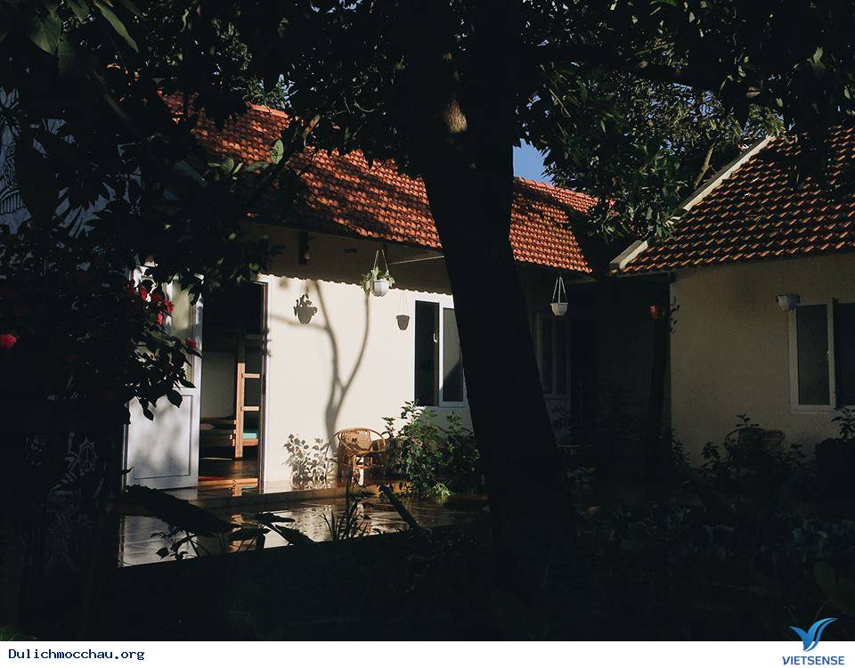 Bơ House - Ảnh 2 Bơ House - Ảnh 2