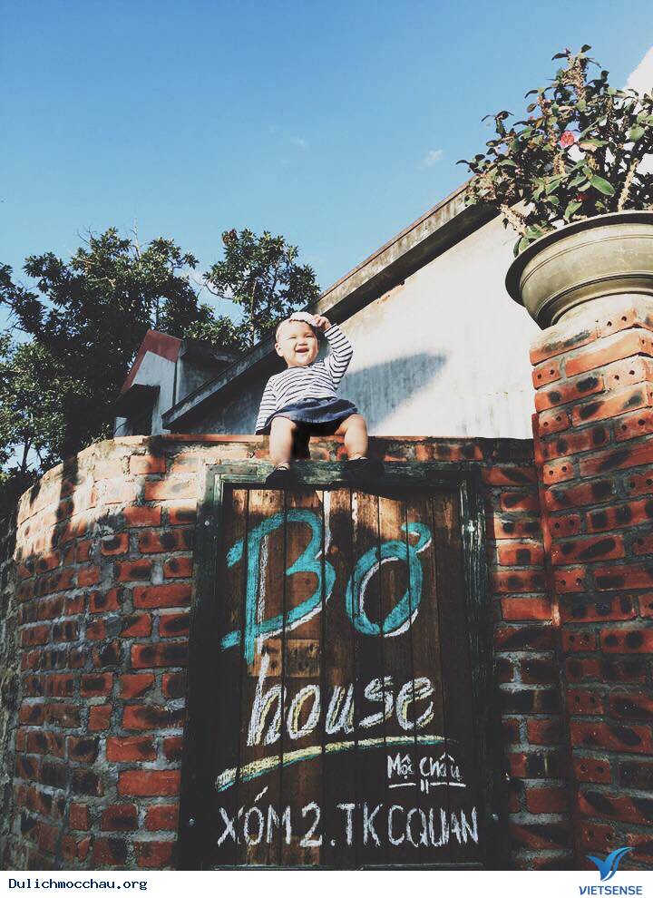 Bơ House - Ảnh 1 Bơ House - Ảnh 1