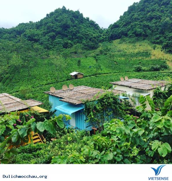 Mộc Châu Arena Village - Ảnh 3 Mộc Châu Arena Village - Ảnh 3