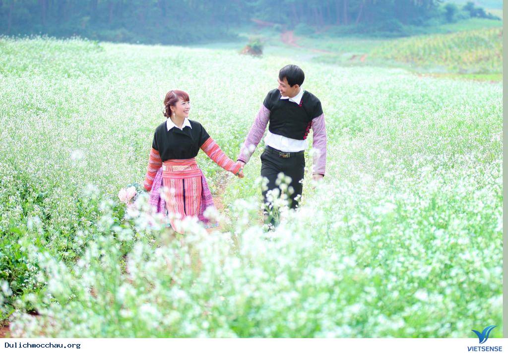 hành trình Mộc Châu chiêm ngưỡng vẻ đẹp của các loài hoa - Ảnh 2