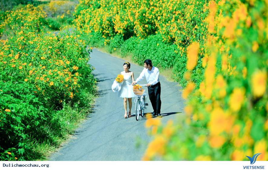 hành trình Mộc Châu chiêm ngưỡng vẻ đẹp của các loài hoa - Ảnh 4