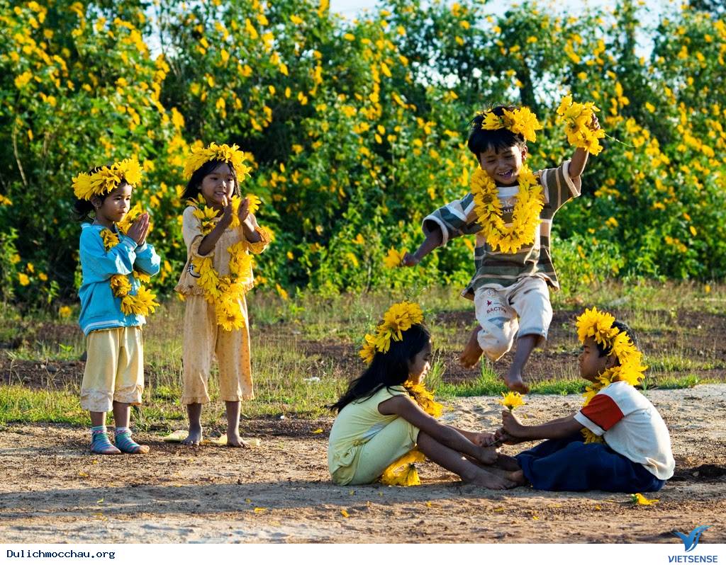 hành trình Mộc Châu chiêm ngưỡng vẻ đẹp của các loài hoa - Ảnh 5