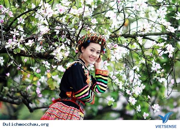 hành trình Mộc Châu Có Gì Những Ngày Xuân Tháng 3 - Ảnh 4