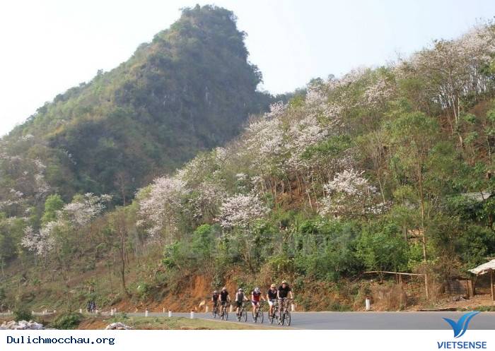 hành trình Mộc Châu Có Gì Những Ngày Xuân Tháng 3 - Ảnh 6