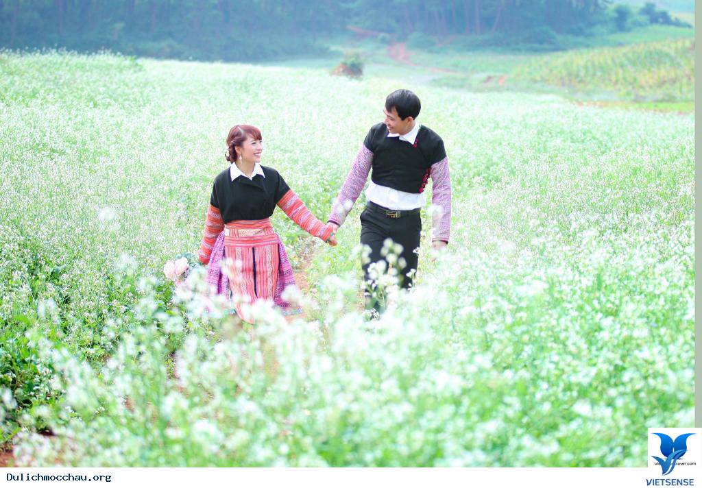 hành trình Mộc Châu Để Ngắm Cải Trắng Tinh Khôi - Ảnh 3 hành trình Mộc Châu Để Ngắm Cải Trắng Tinh Khôi - Ảnh 3