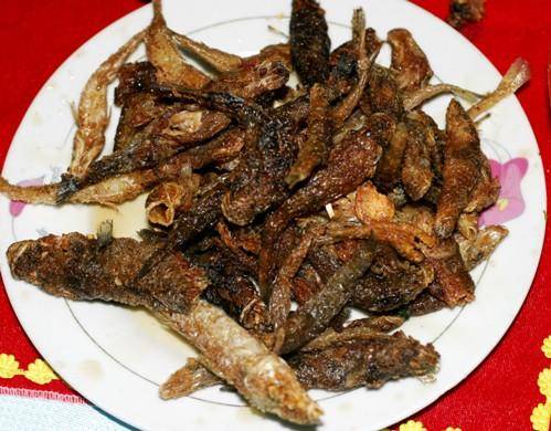 trải nghiệm mộc châu 2 ngày một đêm