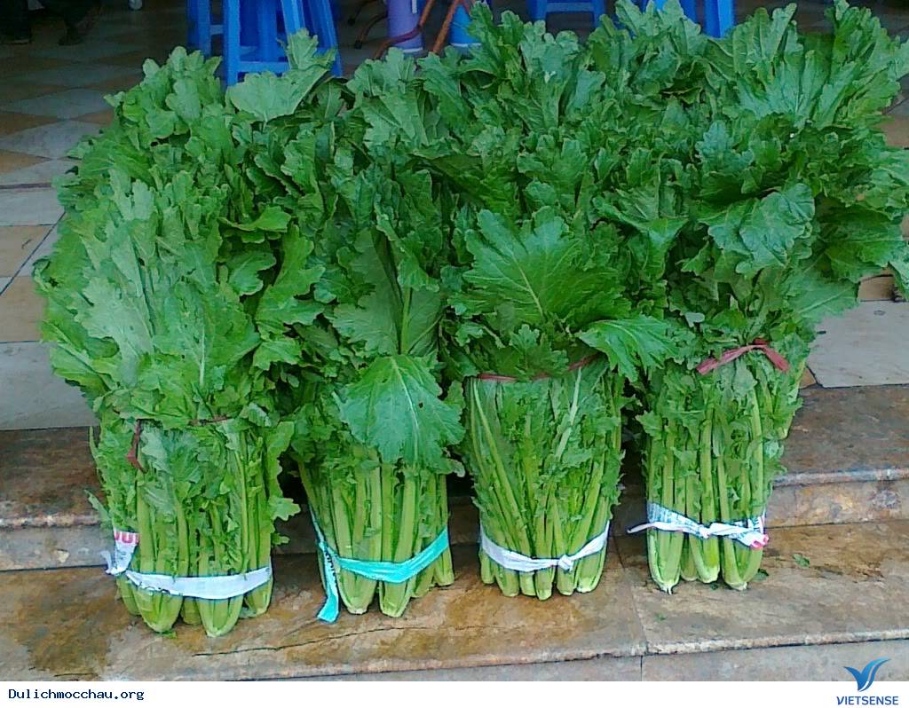 Cải Mèo Mộc Châu - Ảnh 1