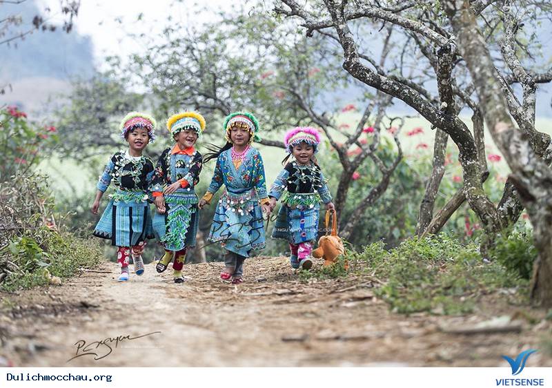 hành trình Mộc Châu Những Ngày Tháng 12 Âm Đón Tết Cùng Người H'mông - Ảnh 1