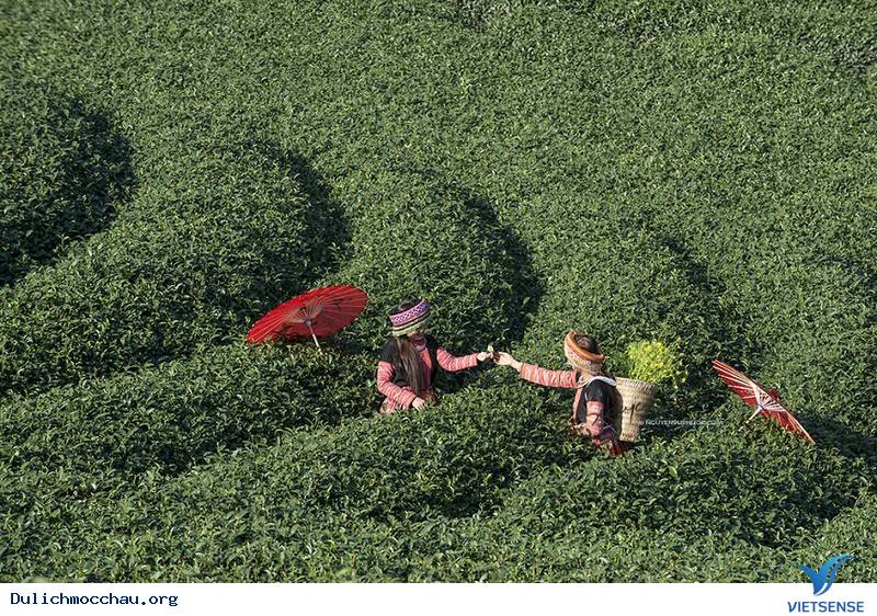 hành trình Mộc Châu Những Ngày Tháng 12 Âm Đón Tết Cùng Người H'mông - Ảnh 2