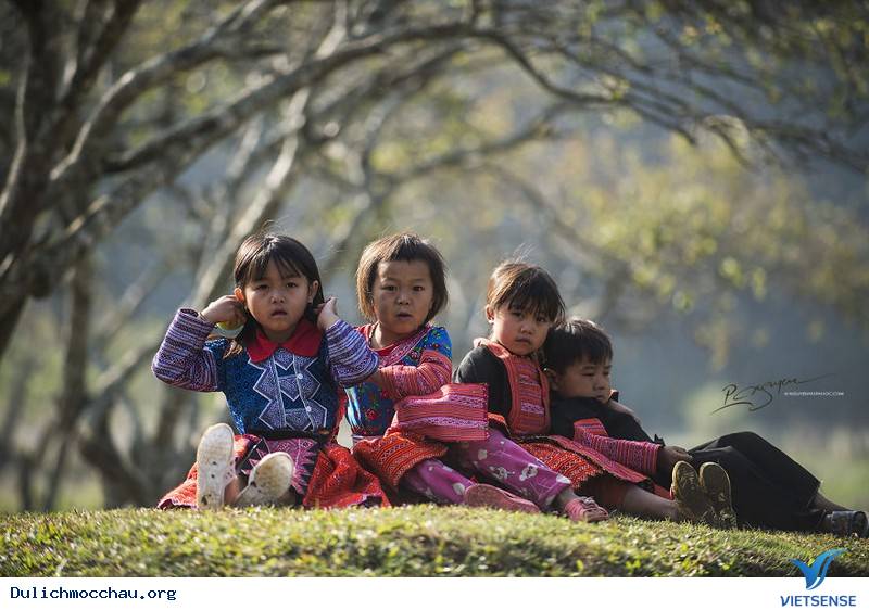 hành trình Mộc Châu Những Ngày Tháng 12 Âm Đón Tết Cùng Người H'mông - Ảnh 14