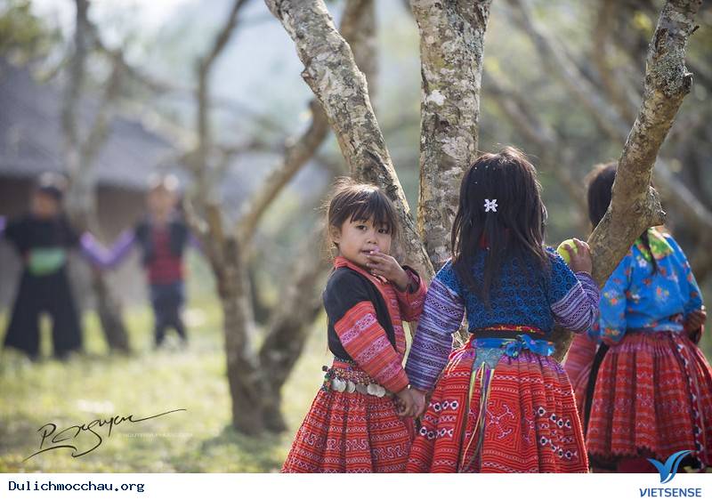 hành trình Mộc Châu Những Ngày Tháng 12 Âm Đón Tết Cùng Người H'mông - Ảnh 13