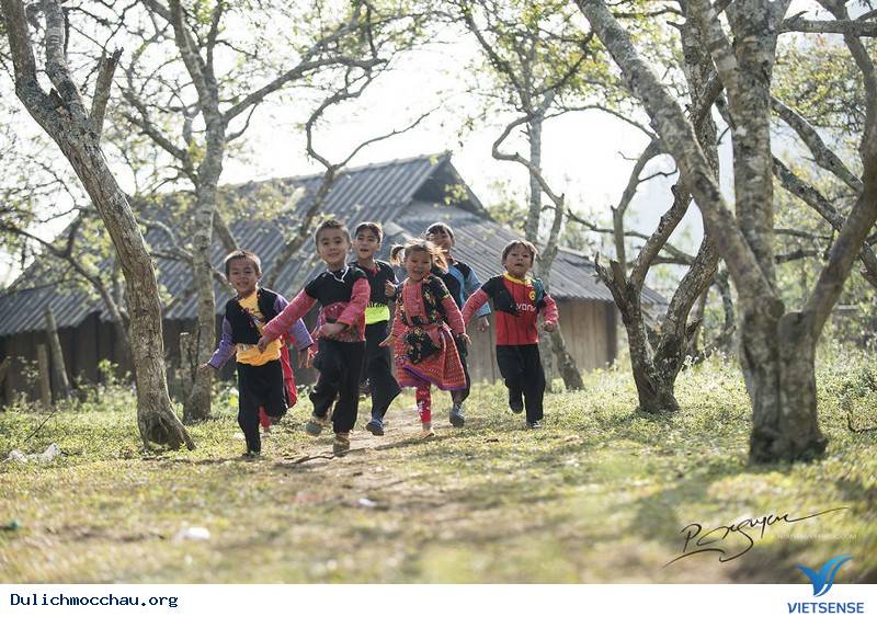 hành trình Mộc Châu Những Ngày Tháng 12 Âm Đón Tết Cùng Người H'mông - Ảnh 7
