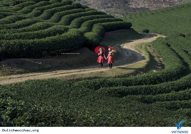 hành trình Mộc Châu Những Ngày Tháng 12 Âm Đón Tết Cùng Người H'mông - Ảnh 4