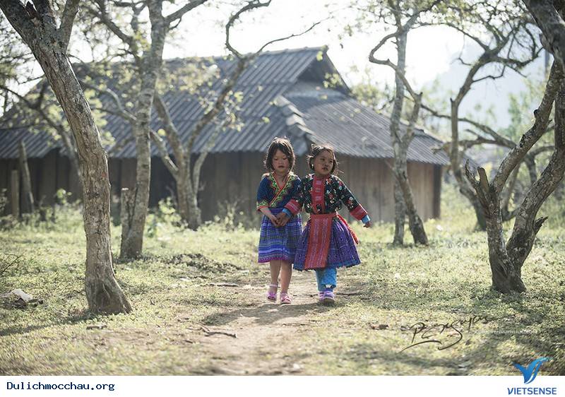 hành trình Mộc Châu Những Ngày Tháng 12 Âm Đón Tết Cùng Người H'mông - Ảnh 6
