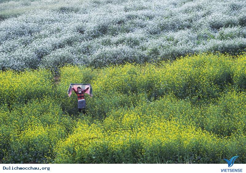 hành trình Mộc Châu Những Ngày Tháng 12 Âm Đón Tết Cùng Người H'mông - Ảnh 5