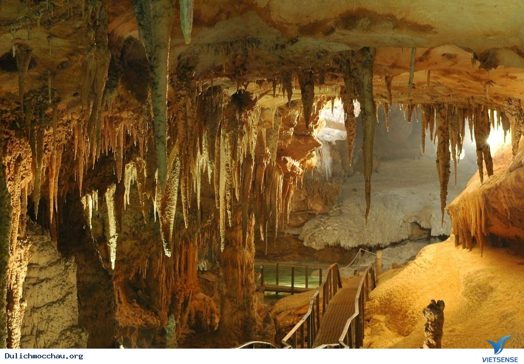 hành trình ở Mộc Châu - Ảnh 1