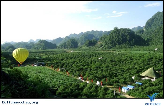 Trải nghiệm ngọt ngào tại thung lũng mận Nà Ka - Ảnh 2 Trải nghiệm ngọt ngào tại thung lũng mận Nà Ka - Ảnh 2