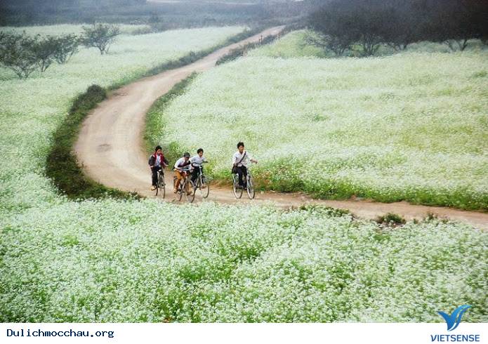 Gợi Ý 5 Địa Điểm Vui Chơi Thú Vị Dịp Tết Dương Lịch 2016 - Ảnh 1 Gợi Ý 5 Địa Điểm Vui Chơi Thú Vị Dịp Tết Dương Lịch 2016 - Ảnh 1