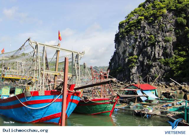 Hình Ảnh Đất Nước Việt Nam Qua Ống Kính Nhiếp Ảnh Gia Pháp - Ảnh 6 Hình Ảnh Đất Nước Việt Nam Qua Ống Kính Nhiếp Ảnh Gia Pháp - Ảnh 6