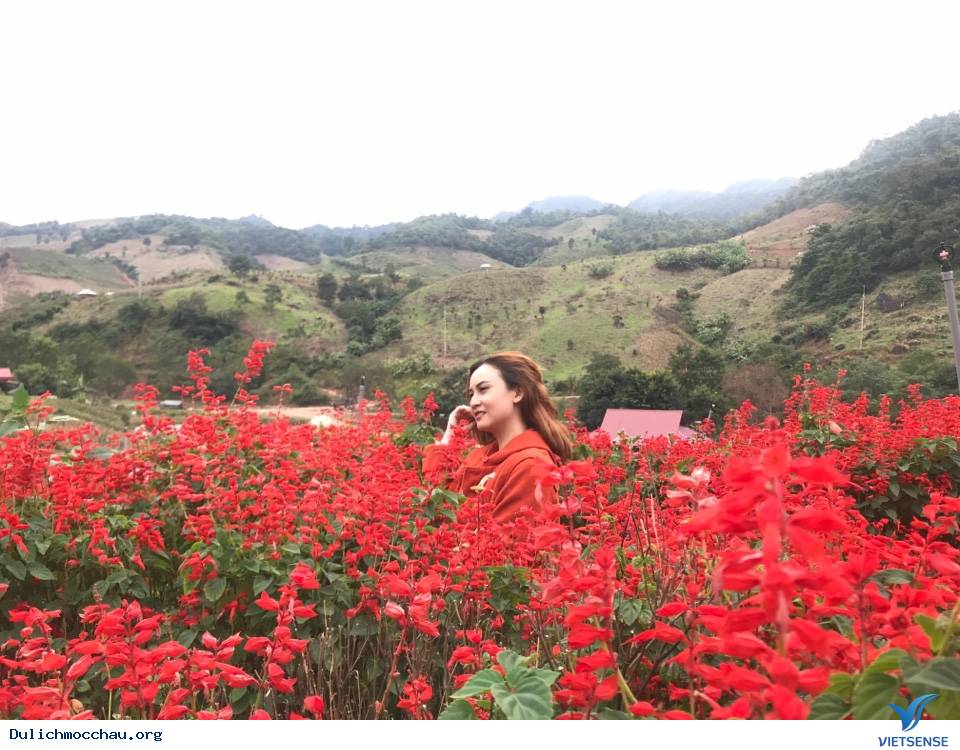 Hình Ảnh Đoàn Mai Châu - Mộc Châu Khởi Hành Ngày 11 -12/11/2017 - Ảnh 11