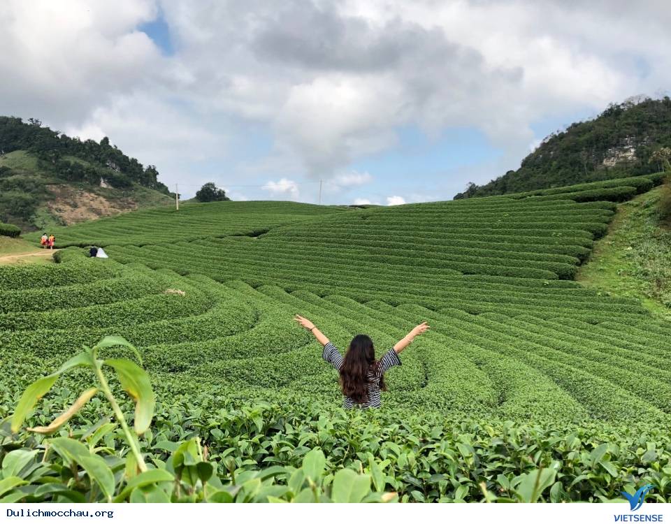Hình Ảnh Đoàn Mai Châu - Mộc Châu Khởi Hành Ngày 11 -12/11/2017 - Ảnh 9