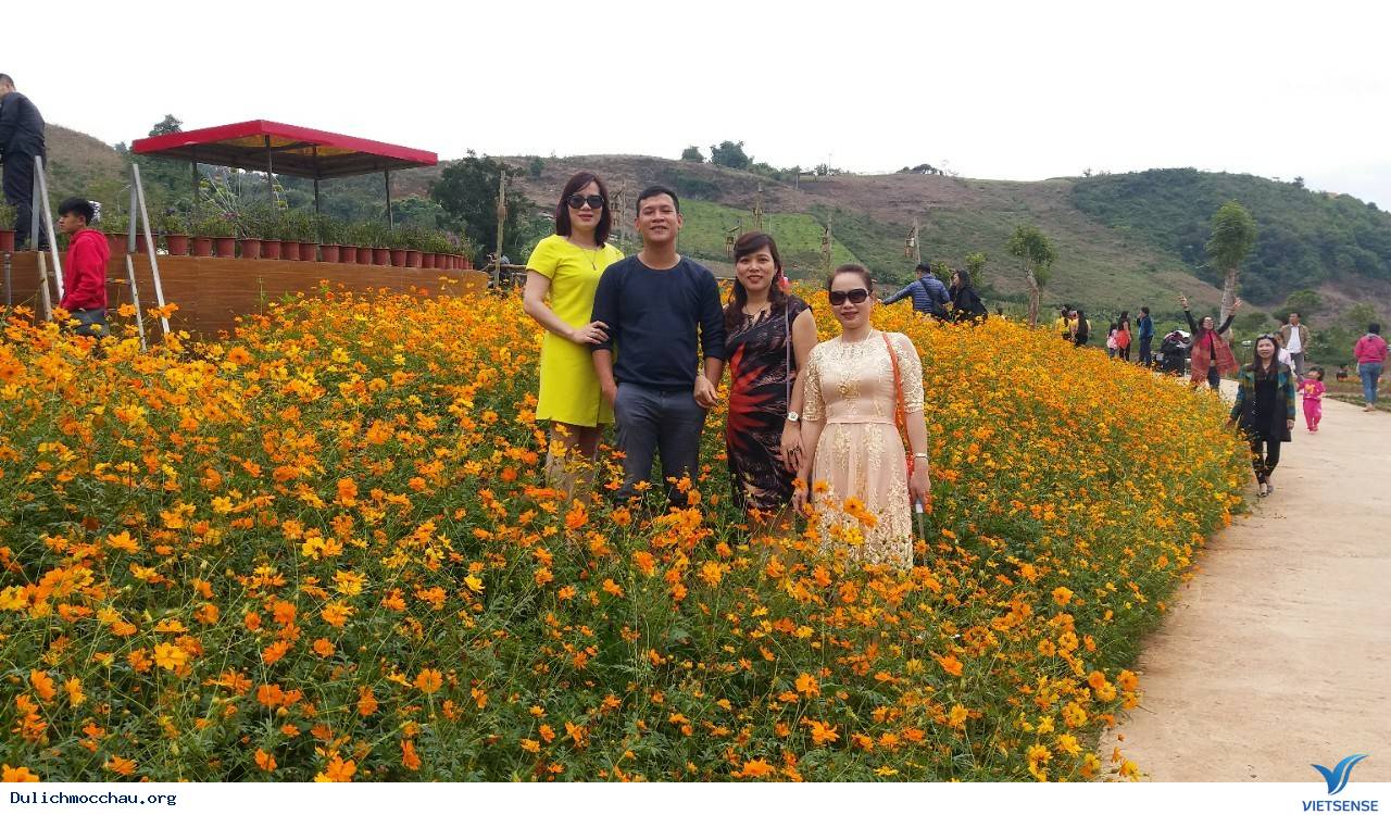 Hình Ảnh Đoàn Mai Châu - Mộc Châu Khởi Hành Ngày 18 -19/11/2017 - Ảnh 1 Hình Ảnh Đoàn Mai Châu - Mộc Châu Khởi Hành Ngày 18 -19/11/2017 - Ảnh 1