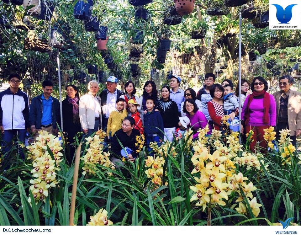 Hình Ảnh Đoàn Mộc Châu Qua Lăng Kinh Vietsense - Ảnh 1