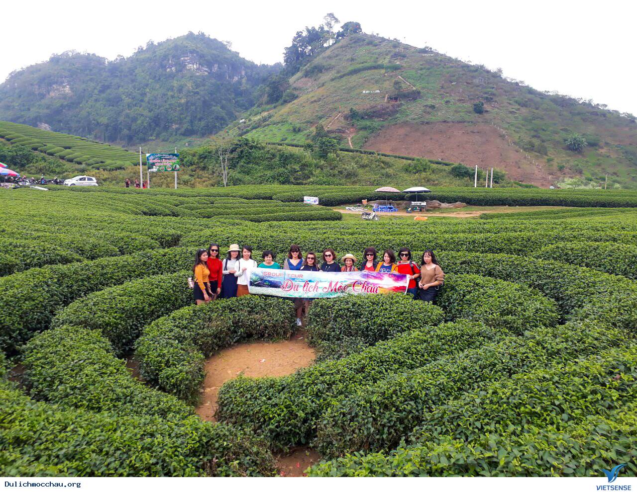 Hình Ảnh Đoàn chương trình Hà Nội - Mộc Châu Khởi Hành 10 - 11/11/2018 - Ảnh 3 Hình Ảnh Đoàn chương trình Hà Nội - Mộc Châu Khởi Hành 10 - 11/11/2018 - Ảnh 3