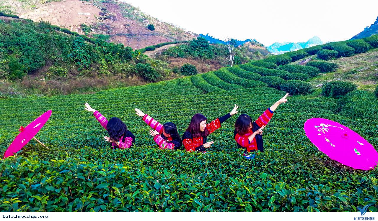 Hình Ảnh Đoàn chương trình Mai Châu - Mộc Châu Khởi Hành 1-2/12/2018 - Ảnh 3