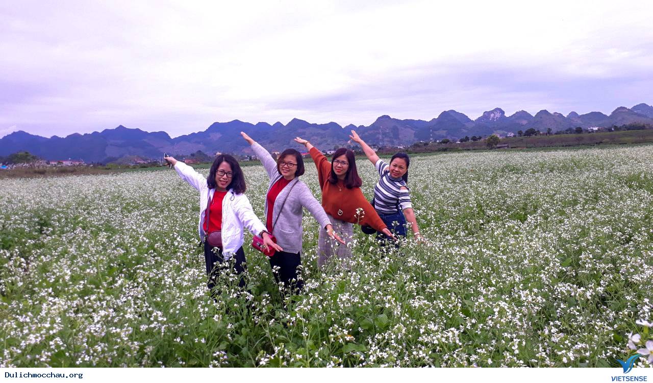 Hình Ảnh Đoàn chương trình Mai Châu - Mộc Châu Khởi Hành 1-2/12/2018 - Ảnh 6