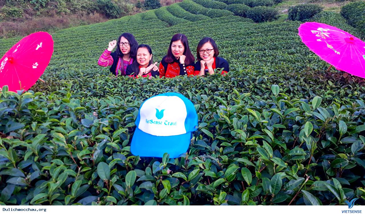 Hình Ảnh Đoàn chương trình Mai Châu - Mộc Châu Khởi Hành 1-2/12/2018 - Ảnh 8